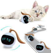 Đồ Chơi Cho Mèo Cảm Biến FOFOS Hình Banh Magic WhirliCat - Paddy Pet Shop